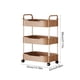 thumbnail image 3 of Carrito de almacenamiento con ruedas de 3 niveles y reposabrazos | Organizador de plástico para cocina, baño y sala de estar | Carrito utilitario móvil con estantes ventilados y ruedas, 3 of 6