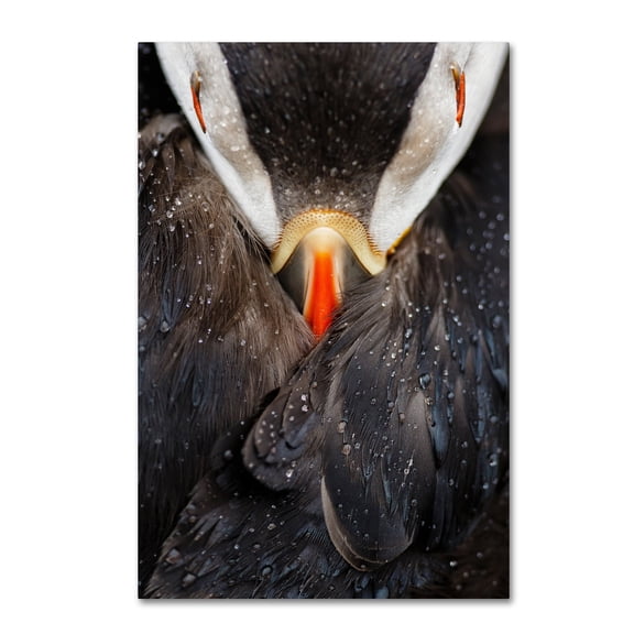 Mario Su�rez 'Puffin Studio' Canvas Art