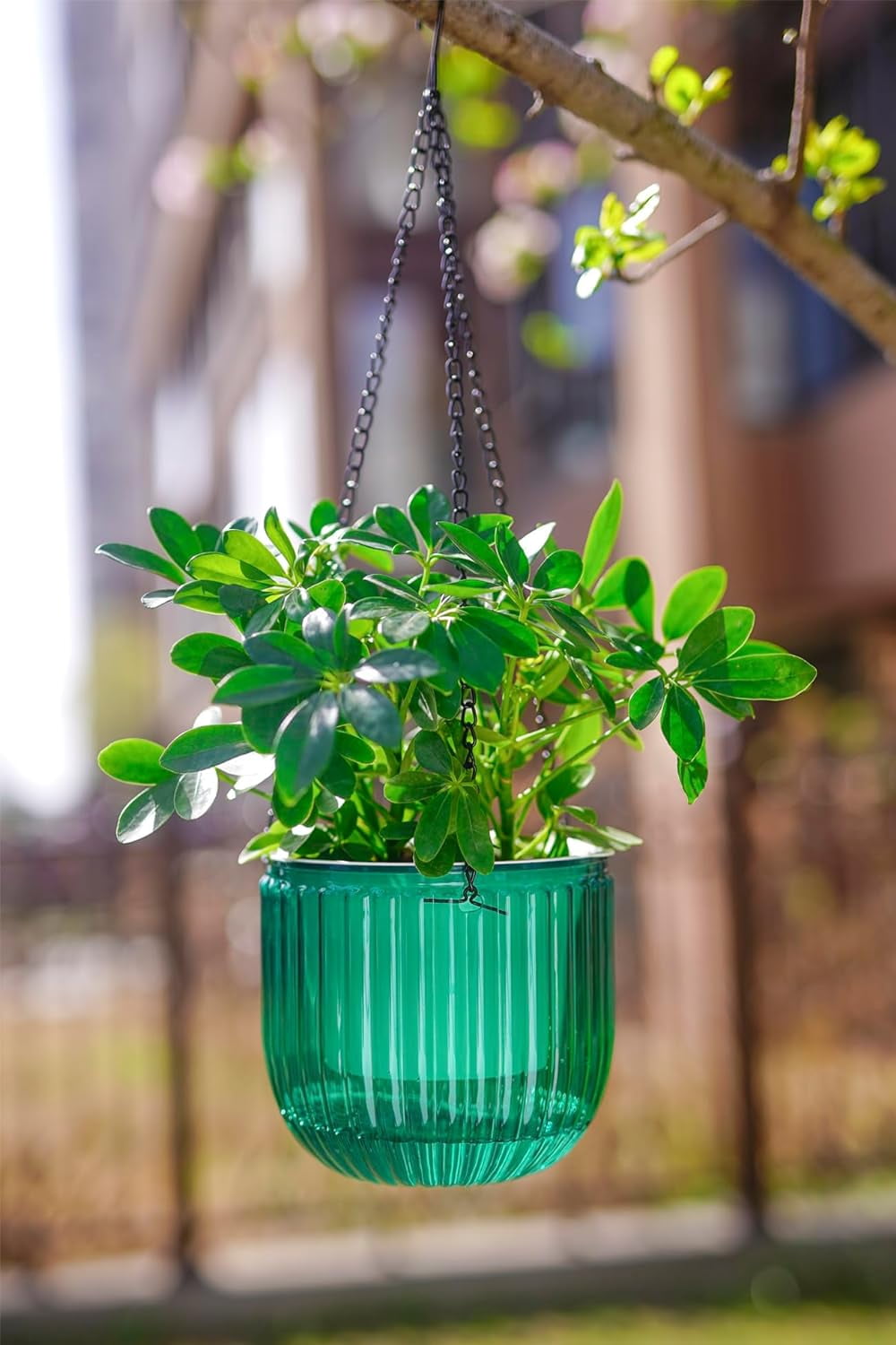 2 Pack Self Watering Hanging Planters Indoor Flower Pots, 6.5 Inch Outdoor Hanging Basket, Plant Hanger with Hooks Drainage Holes for Garden Home