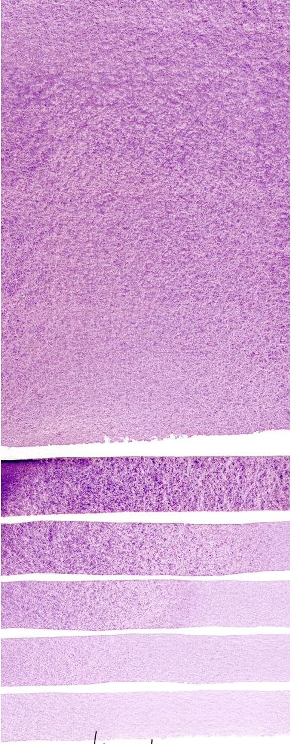 JJEAN-Daniel Smith Extra Fine Watercolor Paint, 15ml Tube, Ultramarine Violet, 284600108, 0.5 Fl Oz (Pack of 1)