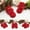 Red, variant on Eleanos 1PC Infant Baby Children Princess Bowknot Lace Flowers Cotton Ruffle Frilly Trim Ankle Socks