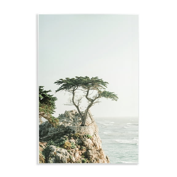 Stupell Industries Tree on Beachside Cliff Nautical & Beach Photography Unframed Art Print Wall Art, 10 x 15