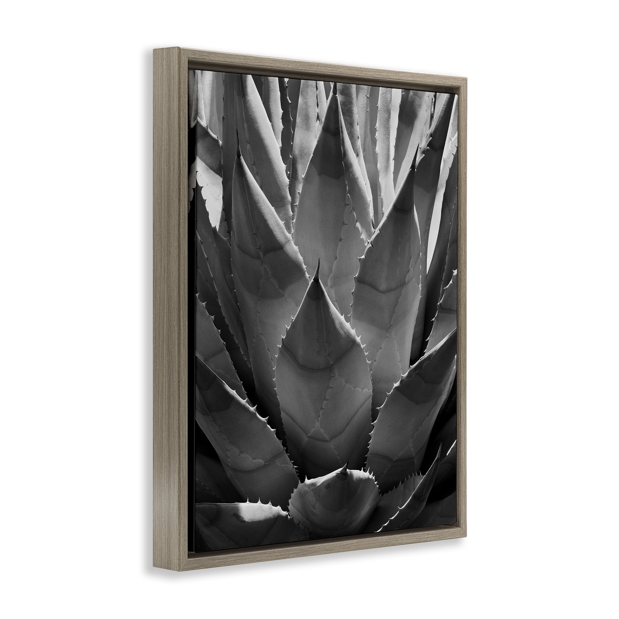 Stupell Industries Desert Plant Detail Botanical & Floral Photography Brown Floater Framed Art Print Wall Art, 17 x 21