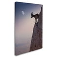 thumbnail image 2 of Trademark Fine Art 'By A Bouquet Of Flowers' Canvas Art by Renato J. Lopez, 2 of 3