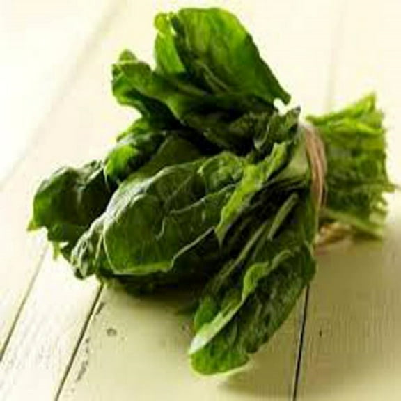 Spinach, Bloomsdale Long Standing Spinach Seeds, Heirloom, Non GMO, 500 Seeds