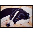 thumbnail image 1 of Carolines Treasures AMB1080JMAT Tapis d'Intérieur Ou d'Extérieur Border Collie - 24 x 36, 1 of 4