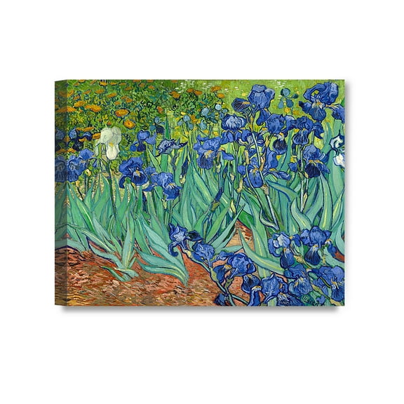 DECORARTS - Irises in the Garden, Vincent Van Gogh Art Reproduction. Giclee Canvas Prints Wall Art for Home Decor 30x24"