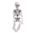 thumbnail image 3 of Esqueleto colgante ANGGREK de plástico para interiores Halloween, 3 of 8