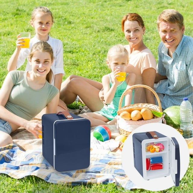 PEONAVET Plastic Mini Refrigerator Plastic Mini Refrigerator 2in1 Mini Fridge 4L Small Mini Bar with Cool and Heat Function Portable 110V AC Portable Small Fridge for Car Cosmetics Drinks Fruit