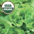 thumbnail image 4 of Ferry-Morse Organic 575MG Lettuce Bibb Annual Vegetable Seeds, Full Sun, 4 of 11
