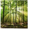 thumbnail image 2 of Cortina de balcón para decoración del hogar, cortina de ventana de moda, paisaje natural con estampado de luz solar en el bosque para la cocina de la sala de estar (150*166cm) Feliz Sencillez, 2 of 5