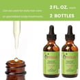 thumbnail image 3 of Mielle Organics Sunnydaze Decor MIELLE Colección Romero Mint (aceite, 2 piezas), 3 of 7