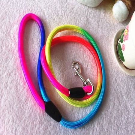 Art Design Nylon Belt 1Pcs Popular Rainbow Colorful Weave Pet Dog Traction Rope Collars Round Training Leashes MULTICOLOR L