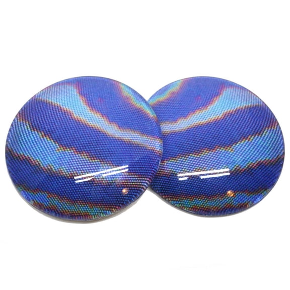 Blue Striped Horsefly Insect Bug Compound Glass Eyes