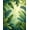Green, Pattern 6, variant on ODIKA 4' x 6' Machine Washable Non-Slip Area Rug, Tropical Leaf High Traffic Rug, Lime green, 277621