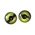 thumbnail image 2 of Green Sea Turtle Glass Eyes, 2 of 8