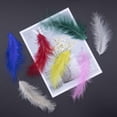 thumbnail image 3 of LAICAIW 200pcs 4-6 Inches Fluffy Turkey Marabou Feathers for Crafts Dreamcatcher Fringe Trim Colored Feathers Accessories Pack (Color Mixing), 3 of 7