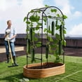 thumbnail image 2 of Garden Arch Trellis for Raised Beds, 6.73 x 2.62 x 2.95 ft U-Shaped Plant Support for Cucumbers, Melons, Grapes, Roses & Climbing Vegetables, Black, 2 of 7