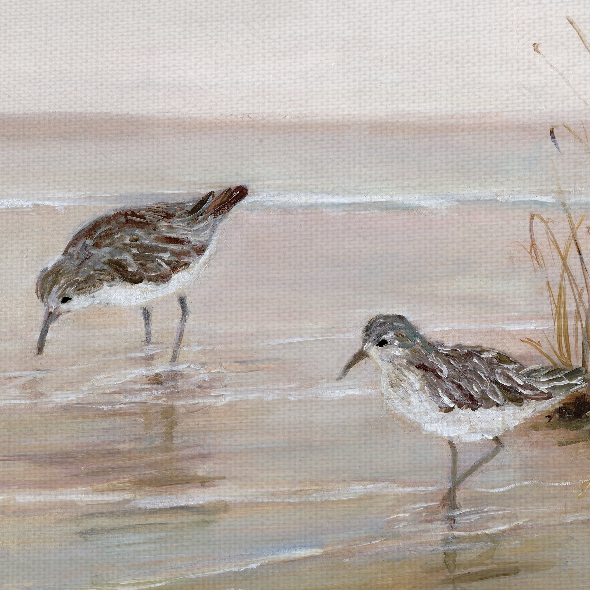 Fine Art Canvas Early Risers II Sandpiper Beach Birds by Sally Swatland Canvas Art Print