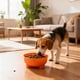 thumbnail image 4 of RKSTN Cat Bowls Large Capacity Plastic Dog Bowl, Non-Slip Easy to Clean Pet Bowl, Pet Utensils Orange, 4 of 6