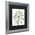 thumbnail image 3 of Trademark Fine Art "Nature's Amazing Wonder" Canvas Art by Kurt Shaffer, Black Matte, Silver Frame, 3 of 3