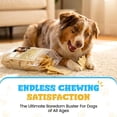 thumbnail image 2 of Hotspot Pets Rawhide Chips for Dogs - 5LB Bag, Rawhide Dog Chews Single Ingredient Dental Chews for Dogs, 2 of 7