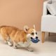 thumbnail image 4 of Adorable muñeca interactiva para perros y gatos. Juguete masticable suave y gracioso para cachorros estresados. Compañero adorable. Actividad enriquecedora para animales., 4 of 6