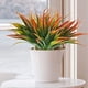 thumbnail image 3 of Plantas artificiales no tóxicas Cateissary 2 unids/set Decoración Naranja, 3 of 6