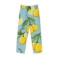 thumbnail image 4 of Balery Men'S Lemon Pants,Sleepwear Pants,Pajama Pants,Pj Bottoms Drawstring And Pockets-Small, 4 of 9