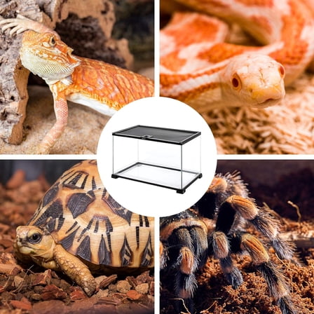 Full Glass Reptile Tank, Terrarium for Gecko Hermit Crab Hognose Snake etc, Top Screen Ventilation & Feeding