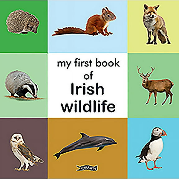 First Steps: My First Book of Irish Wildlife (Hardcover)