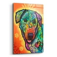 thumbnail image 2 of Epic Art 'Rusty' by Dean Russo, Acrylic Glass Wall Art, 16"x24", 2 of 8