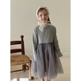 thumbnail image 4 of 2025 Spring Autumn Girls' Dresses 2-7Y Sweet Patchwork Tulle Dresses for Children Stylish Kid's Long Sleeved Princess Dresses, 4 of 6