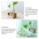 thumbnail image 3 of Jarrón de vidrio para decoración del hogar, plantas de aire, jarrones con capullos, soporte hidropónico para flores, jardinera de escritorio, 3 of 6