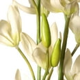 thumbnail image 4 of National Tree Artificial 30" Garden Accents Potted Flower, 4 of 4