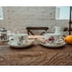 thumbnail image 3 of Set de taza de té y platillo de porcelana Disney La dama y el vagabundo, 3 of 8