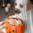 thumbnail image 4 of POINTERTECK Ghost Dog Bol à Bonbons Support Halloween Bol à Bonbons pour Chien Support de Bonbons pour Halloween Bol à Bonbons Extérieur Bol à Bonbons pour Halloween Grand Bol à Bonbons Citrouille-Chien, 4 of 6