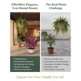 thumbnail image 3 of 2026 New Large Realistic Artificial Boston Fern & Dragon's Tree Plants, UV Resistant Outdoor Set of 2 for Garden Patio Balcony Decor, 3 of 8