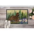 thumbnail image 2 of Carolines Treasures SS8131MAT Paillasson Intérieur Extérieur 18 x 27 Po. Field Spaniel, 2 of 4