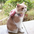 thumbnail image 5 of Arnés de mochila para mascotas con correa para gatos, perros pequeños, Mini portabebés, bolsas de sillín de bolsillo, bolsa para cachorros con correa de entrenamiento, 5 of 5