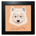 thumbnail image 1 of White Samoyed Dog Pet Animal Black Square Frame Picture Wall Tabletop, 1 of 3