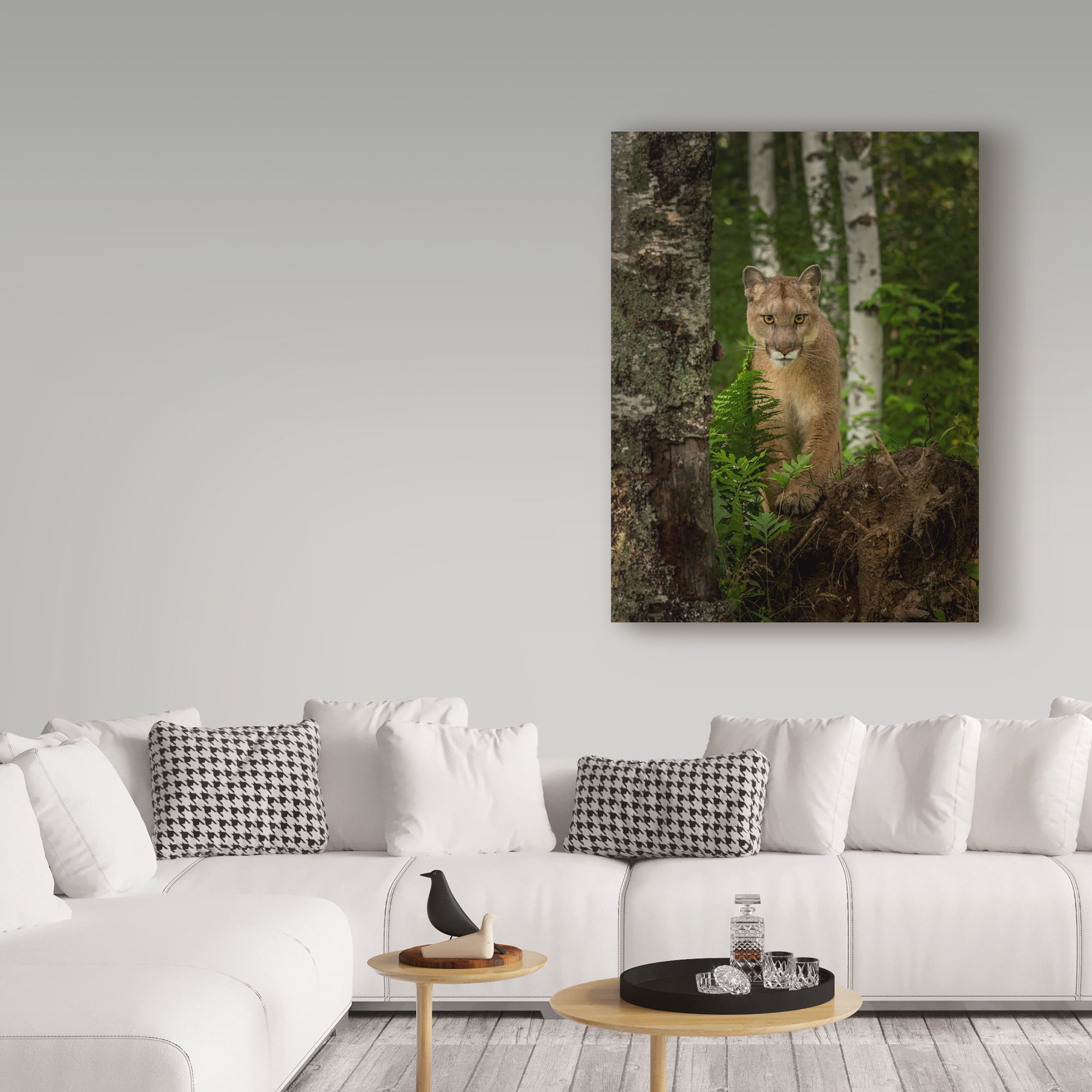 Trademark Fine Art 'Mountain Lion Forest Pose' Canvas Art by Galloimages Online