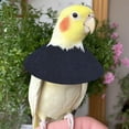 thumbnail image 6 of Pet Supplies Parrot E Collars Feather Plucking Protective Recovery Device for Lovebird Agapornis, 6 of 6