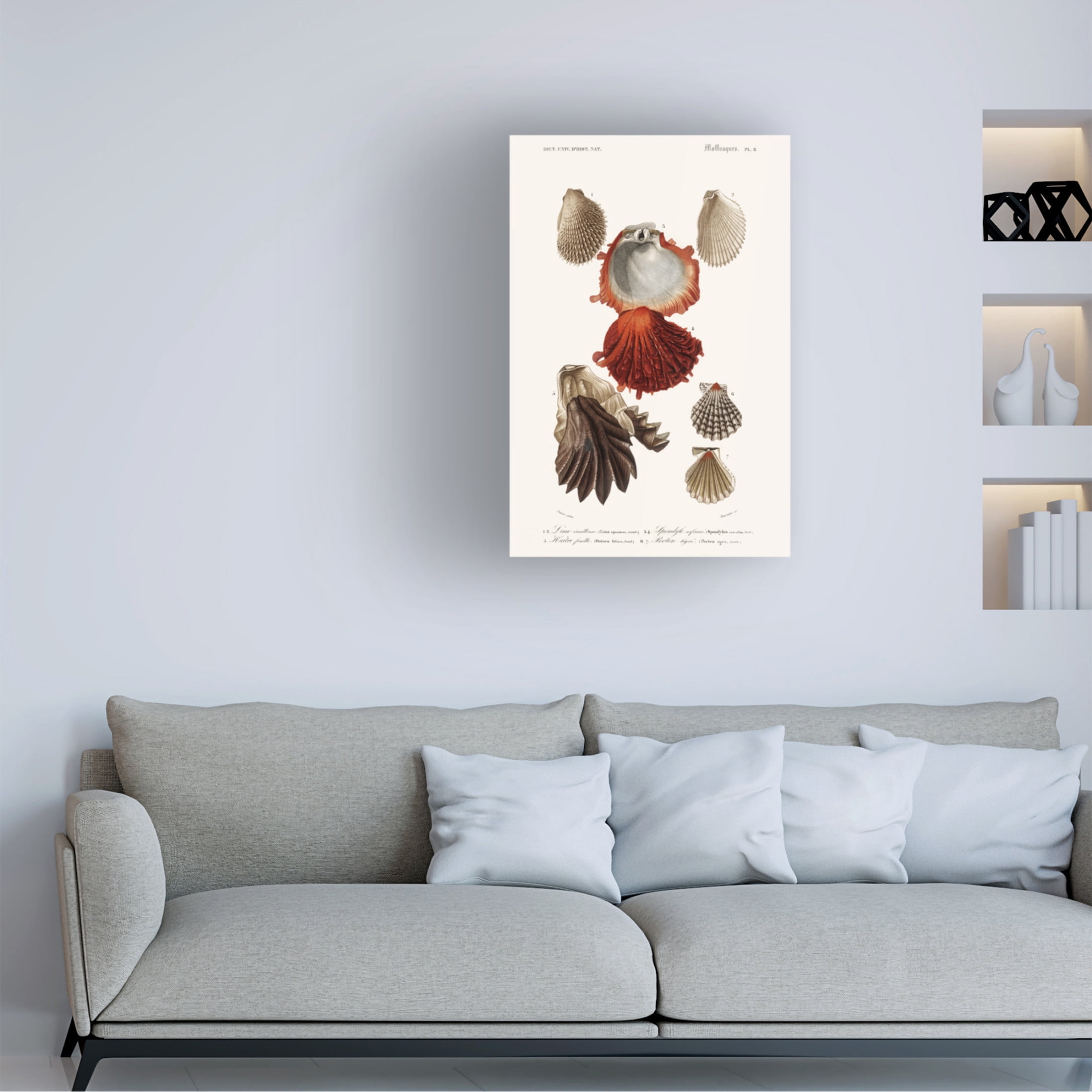 Trademark Fine Art M. Charles D'Orbigny D'Orbigny Sealife II Canvas Wall Art