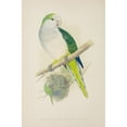 thumbnail image 2 of Parrots in Captivity 1884 Quaker Parakeet Poster Print by  A.F. Lydon, 2 of 2