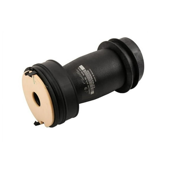 GM Genuine Parts Rear Air Spring