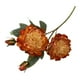 thumbnail image 2 of Decoración del hogar, decoración de habitaciones, decoración de paredes, tela revestida, 4 cabezas de peonía quemada, flores artificiales, tela, plantas artificiales, 2 of 6
