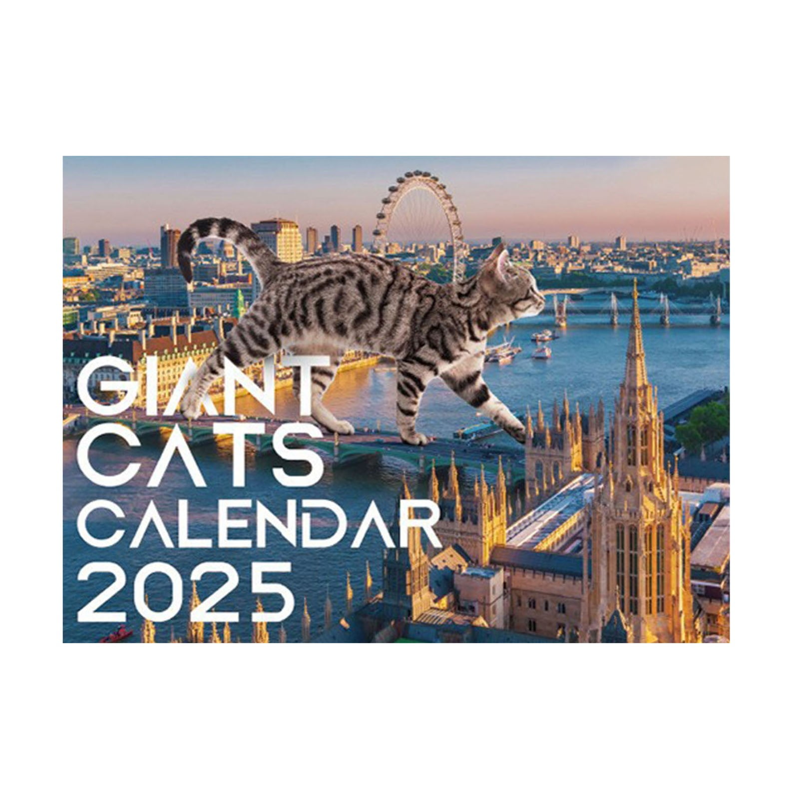 Cats in the Stacks 16-Month 2019-2020 Wall Calendar