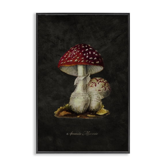 Stupell Industries Rustic Mushroom Pair Plants & Flowers Painting Black Framed Art Print Wall Art, 12 x 18