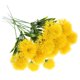 thumbnail image 4 of 12 piezas de adornos de flores artificiales de diente de diente de diente de diente de diente de diente de diente de diente de diente de diente de león., 4 of 5